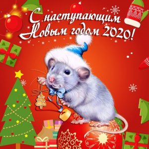 Novogodnie-pozdravleniya-s-nastupayushhim-2020-godom2.jpg
